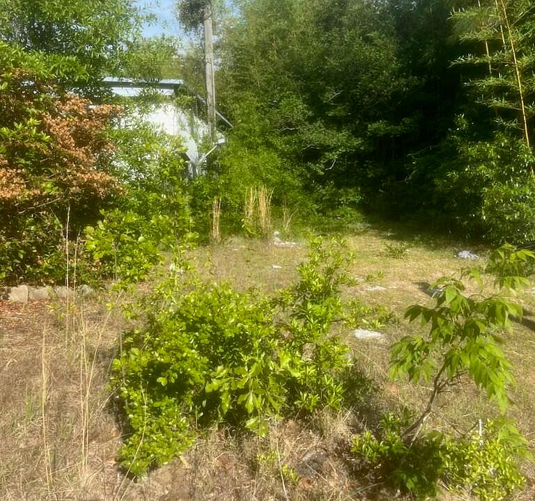 2nd image of 215 Clearmont Dr