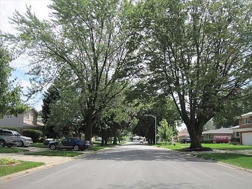 2nd image of 9257 S Karlov Ave