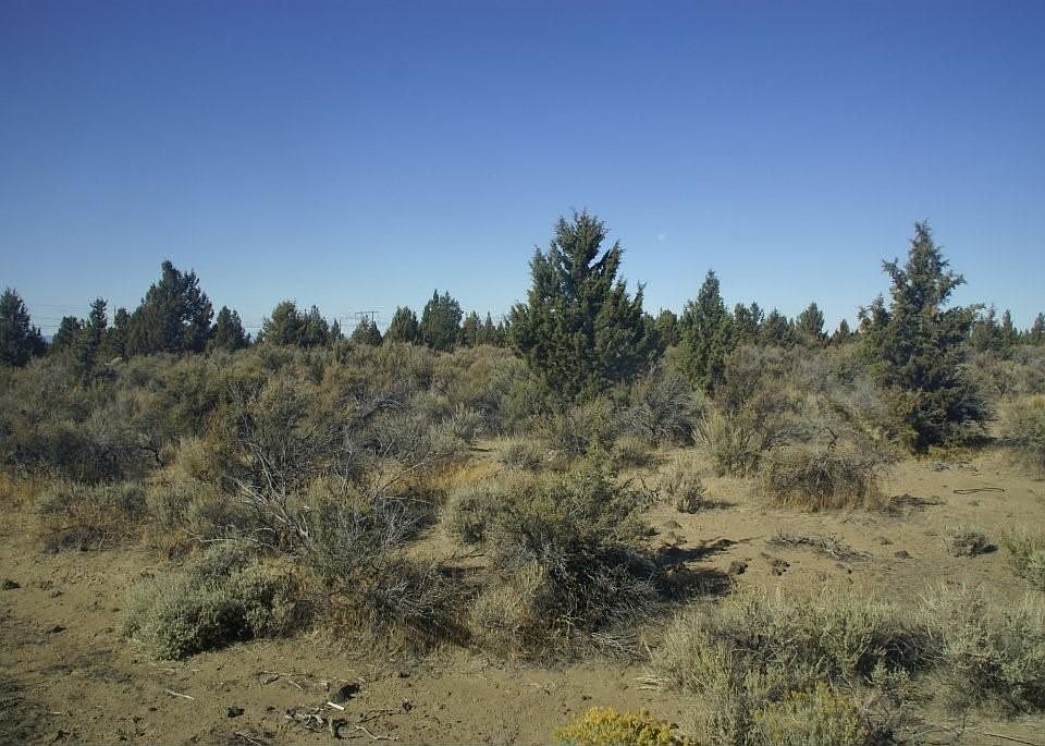 2nd image of 62435 Erickson Rd