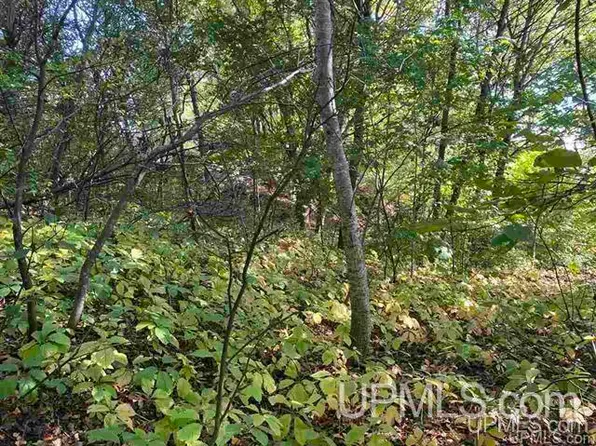 Cedar St, Hancock, MI 49930