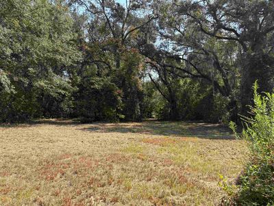 1309 Cook Rd, Lamont, FL, 32336