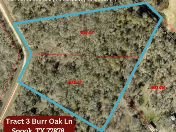 TRACT 3 Burr Oak Ln, Snook, TX 77878