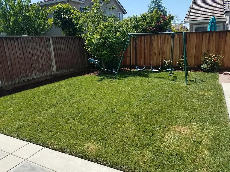 Play structure in backyard