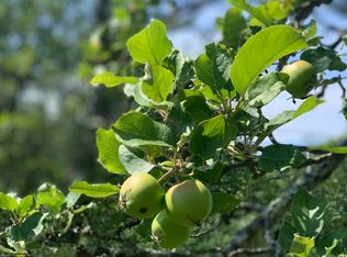 15 Orchard Rd, Bar Harbor, ME 04609