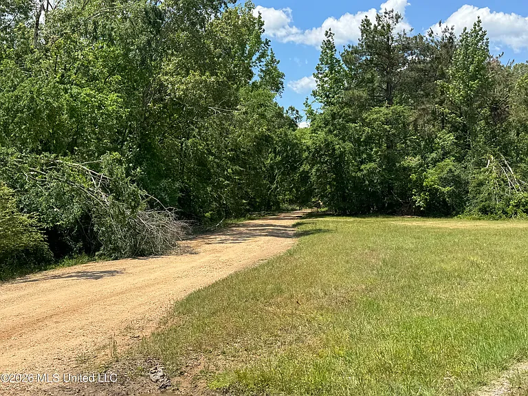 21 County Road 187 — Photo 55