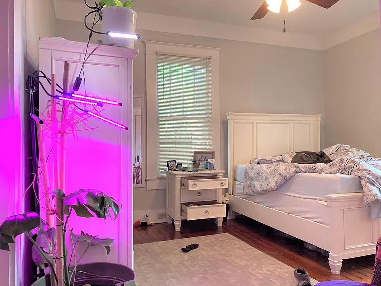 4317 Fontainebleau Dr — Photo 13