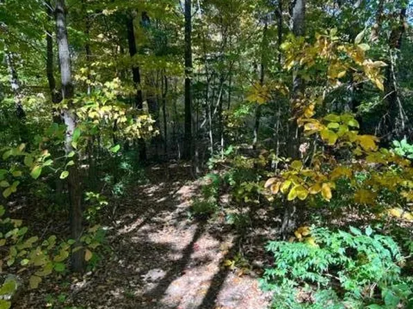 7905 Timber Glow Trl, Knoxville, TN 37938