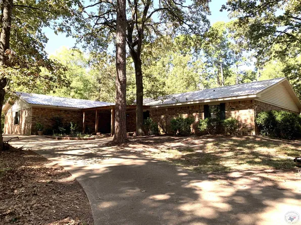407 Woodland Lake Dr, Atlanta, TX 75551