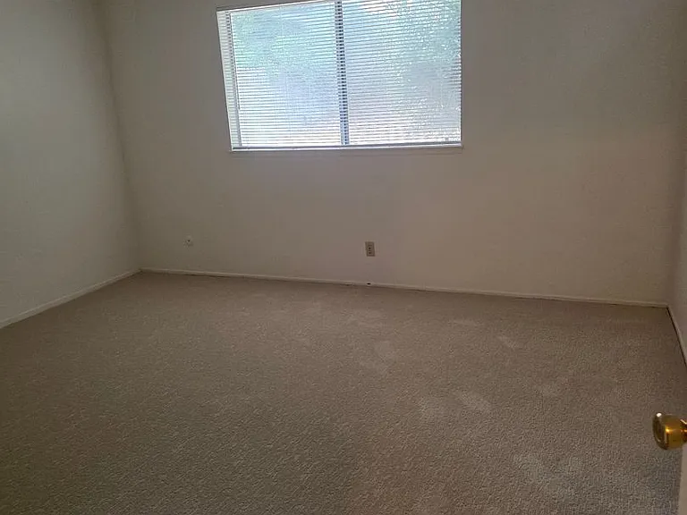 3207 Kathy Way — Photo 10