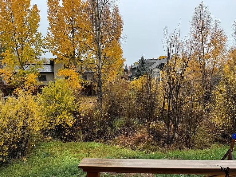 3387 Apres Ski Way — Photo 15