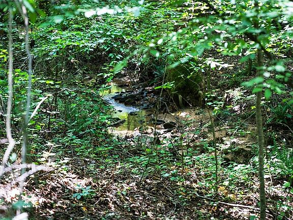 5th image of 13020 Arnold Mill Rd #3