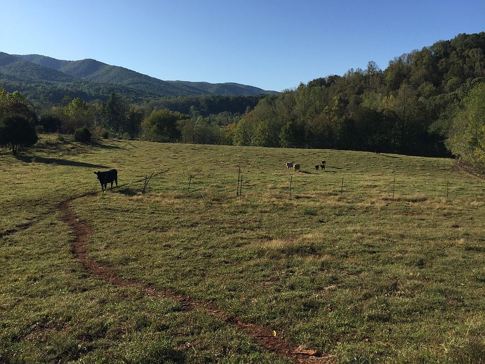 2nd image of 0 Grindstaff Hollow Rd