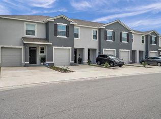 32832 Pez Landing Ln, Wesley Chapel, FL 33543