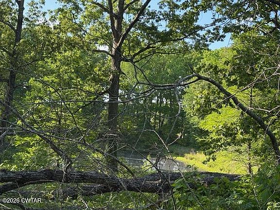 5th image of 0 McBride Cemetery Rd