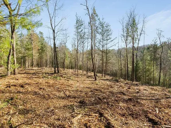 0 Nimblewill Church Rd, Dahlonega, GA 30533