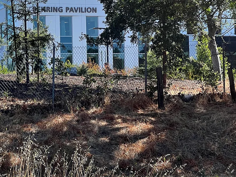 John Muir Hospital Cancer Center