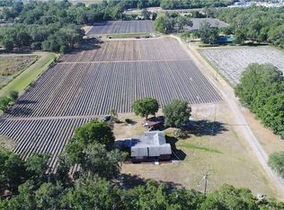 13087 Newsome Rd, Dover, FL 33527