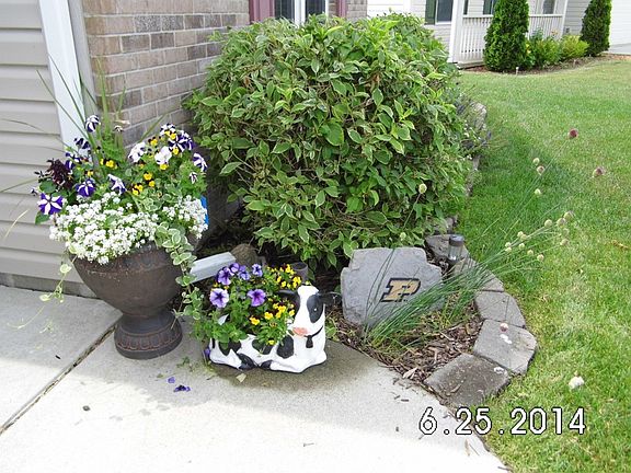 4th image of 5408 Wilmington Cir