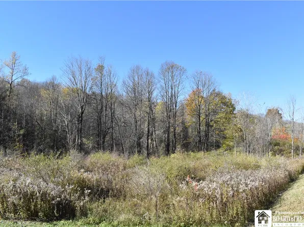 11088 Springville Boston Rd, East Concord, NY 14055