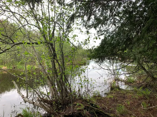 0 Walker Rd, Moran, MI 49760