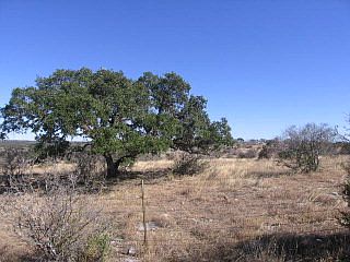 1st image of 1484 N Us Hwy 281