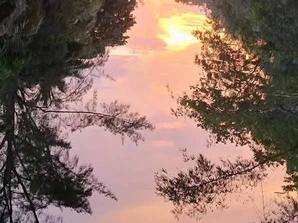 336 NE 85th St, El Portal, FL 33138