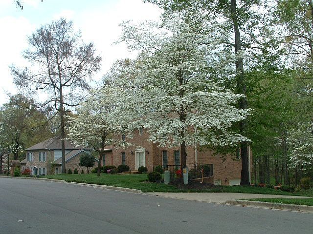 Front left view