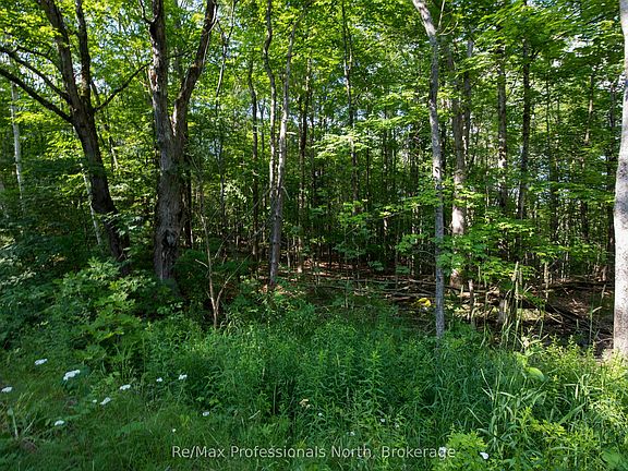 2nd image of 0 Walkers Point Rd N