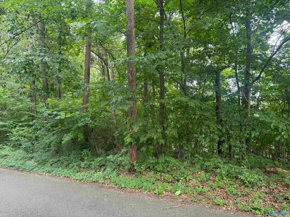 Lots 3 5 Halsey St, Gadsden, AL 35901