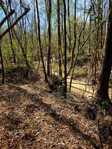 0 J L Robbins Rd, Carson, MS, 39427