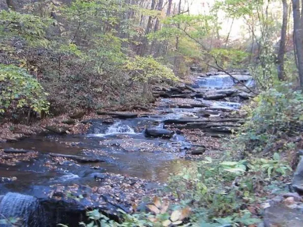 232 Andes Rdg #4.66, Ellijay, GA 30536