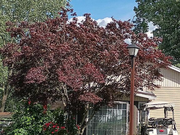 3rd image of 2 & 3 Poison Oak Rd