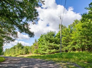 L-16.5 Donlan Heights Rd, Middleburgh, NY 12122