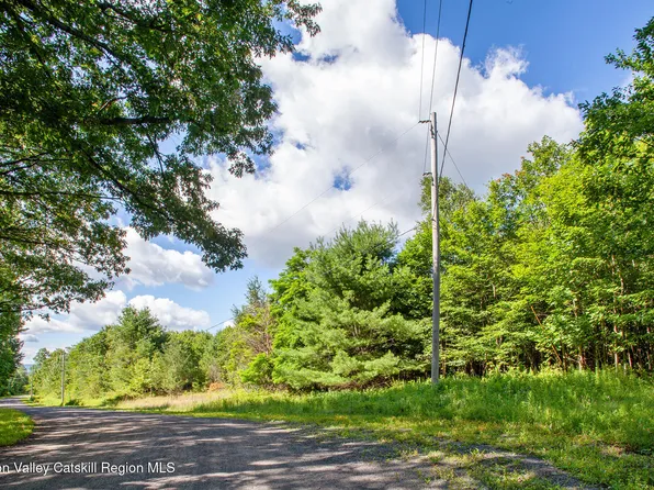 L-16.5 Donlan Heights Road, Middleburgh, NY 12122