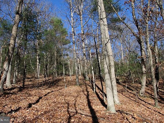 5th image of Rolly Rd