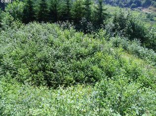 0 Deans Creek Rd, Reedsport, OR 97467