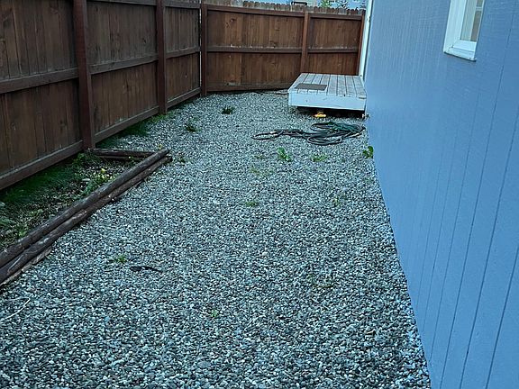 Back yard