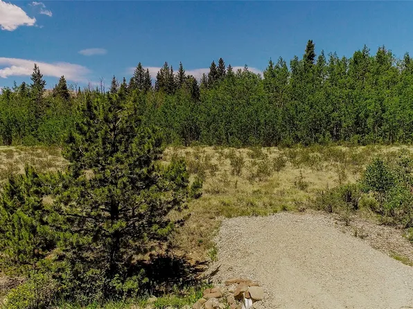 515 Wild Rye Road, Fairplay, CO 80440