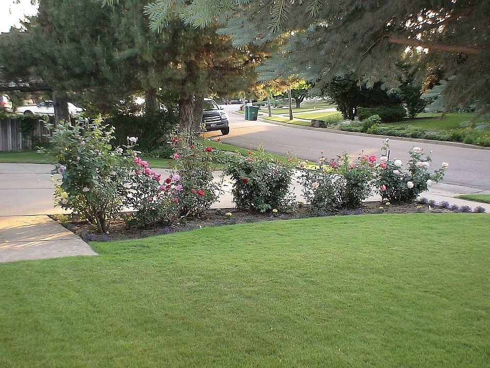 Frontyard looking West at rose garden and driveway