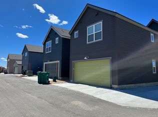 1210 Mineral Belt Grn UNIT B, Leadville, CO 80461