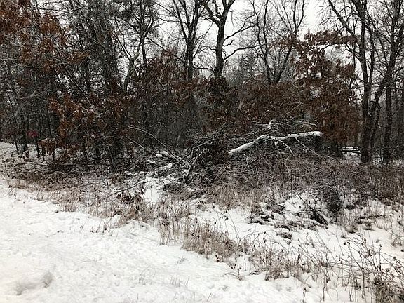 4th image of 1619 Kingswood Trl