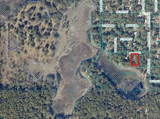 18956 SE 96th Pl, Ocklawaha, FL 32179