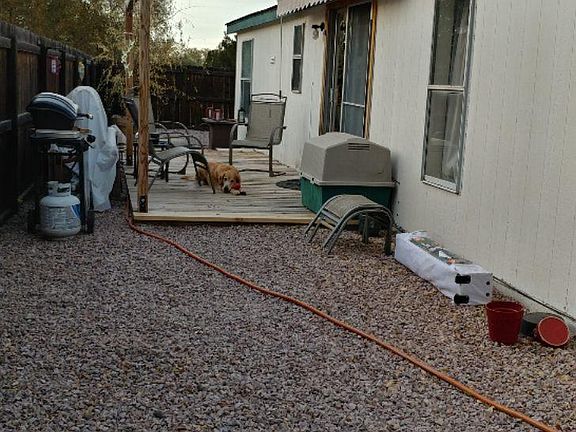 Back yard