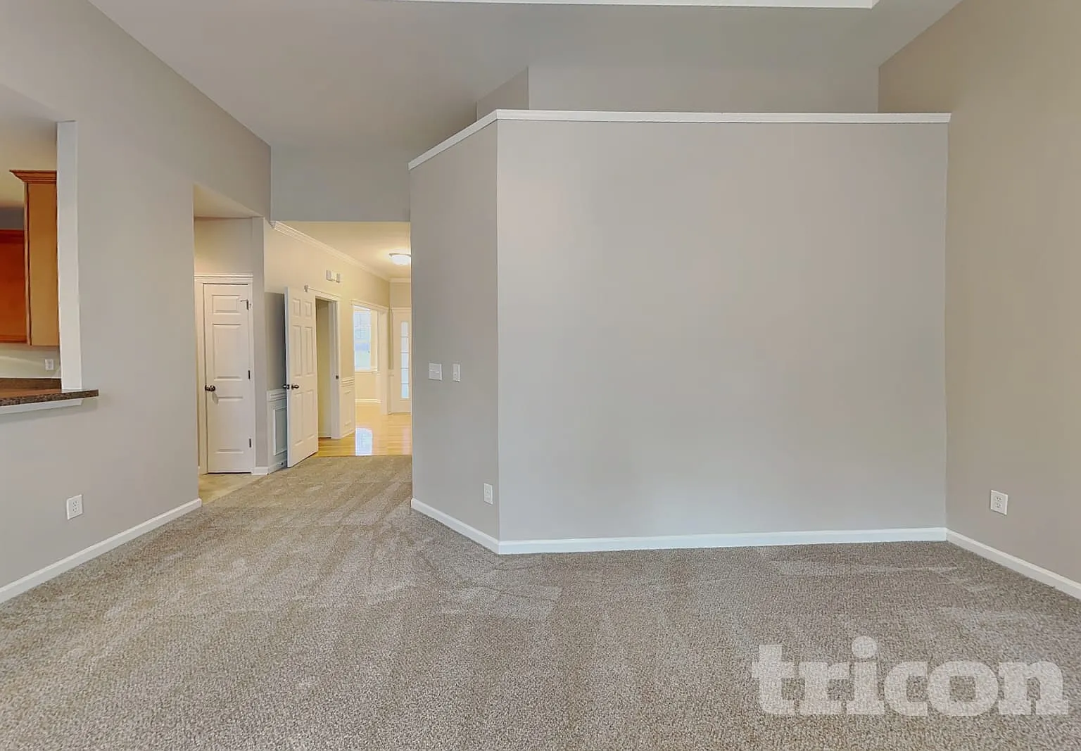 15609 Carrington Ridge Drive Huntersville NC — Photo 2