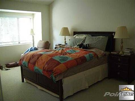 5th image of 4033 Bridgewood Ln