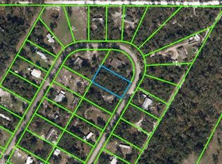 3311 N Horseshoe Dr, Avon Park, FL 33825