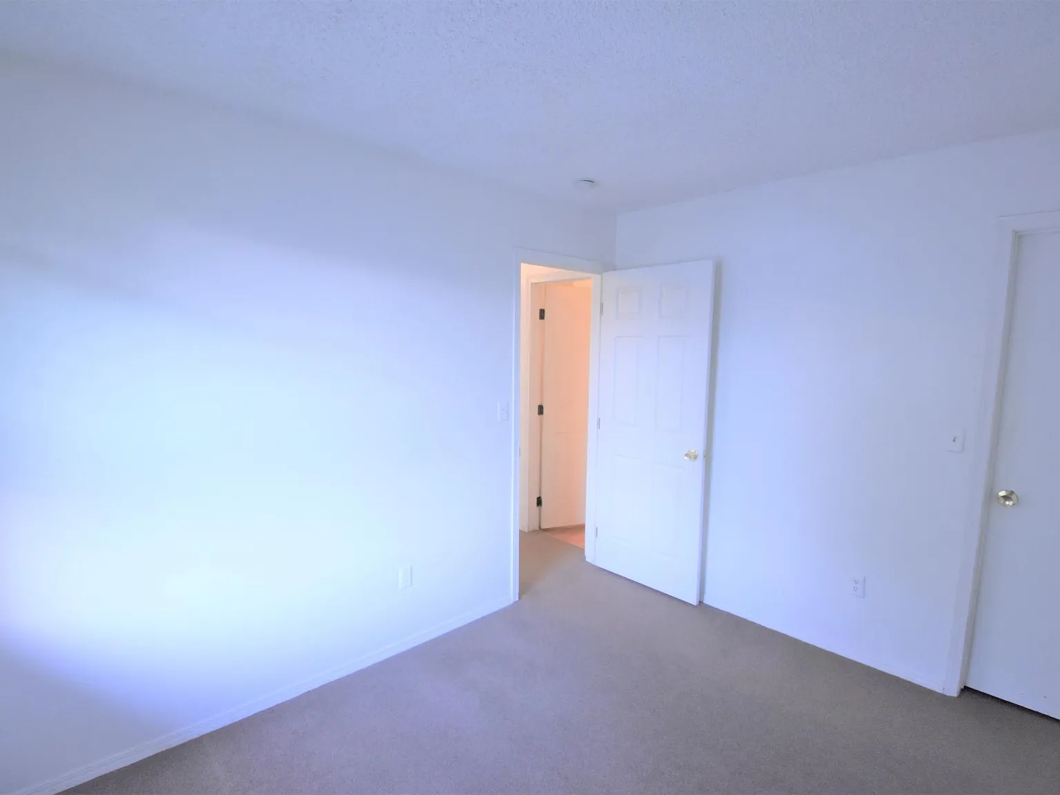 1 bed, 650 sqft, $1,595 — Photo 3
