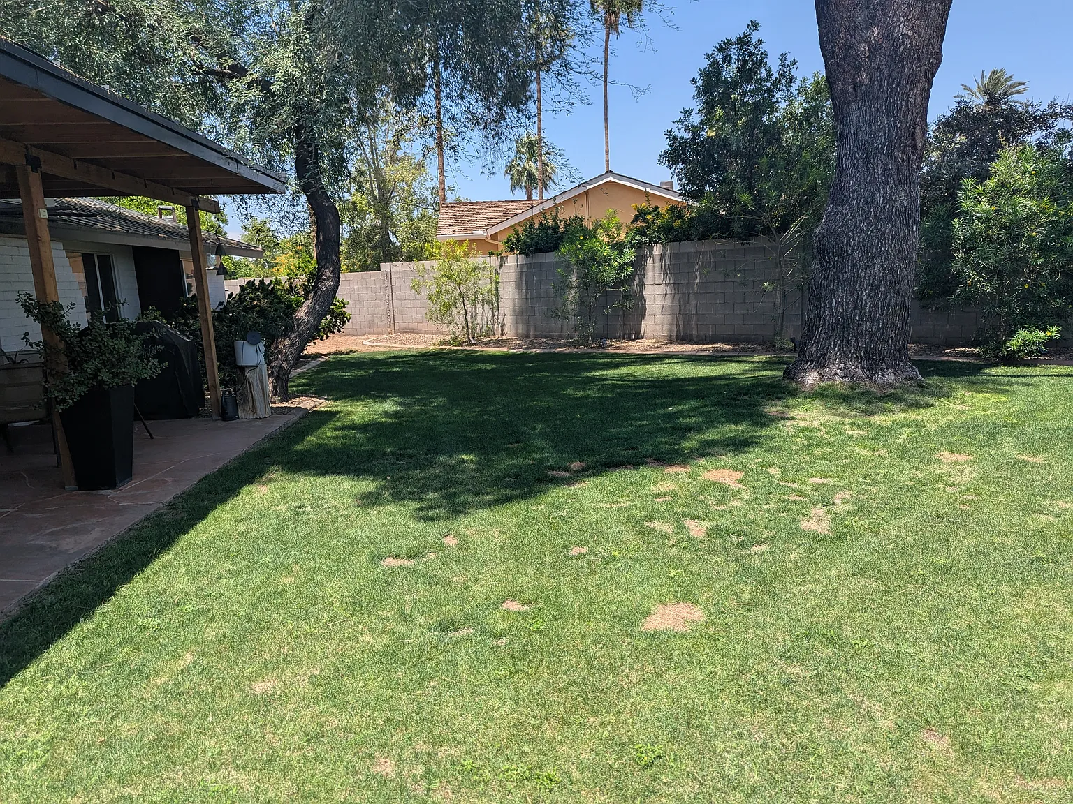 3 bed, 1650 sqft, $6,500 — Photo 4