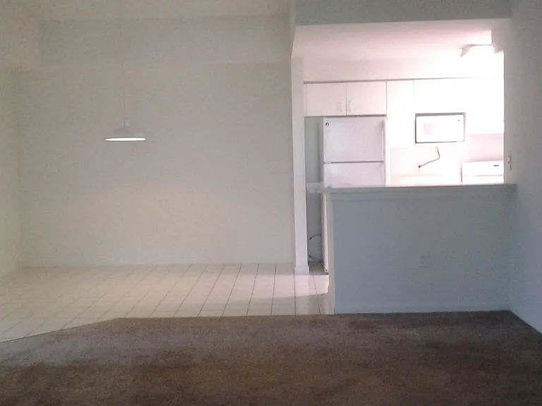 The Mirage Apartments — Photo 80