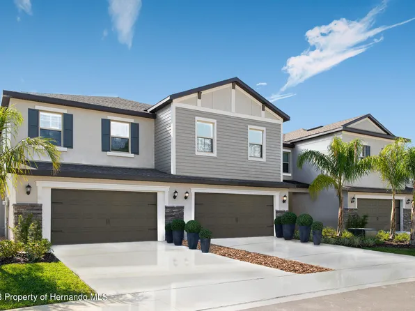 17742 Nectar Flume Dr, Land O Lakes, FL 34638
